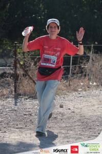 סובב עמק 2014