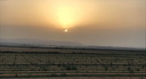 "באה מנוחה ליגע" - עמק יזרעאל. צילמה: סוניה מנדלוביץ