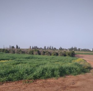‏‏כפר מעש-שדות ושביל